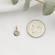 Sirius Birthstone Charm