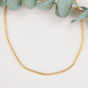 14K Gold Round Box Chain Necklace | 2.1mm