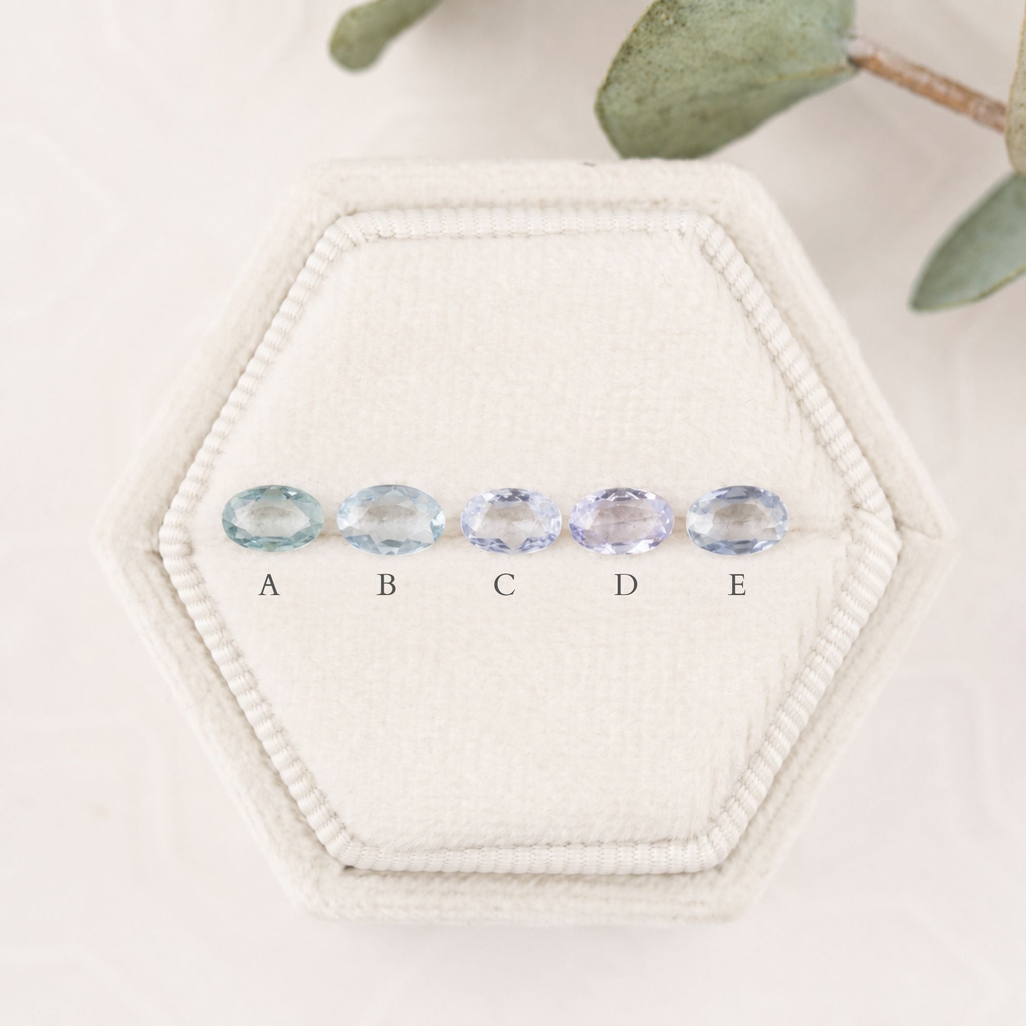 CS345mds-o-6x4-0.40-b_2.jpg