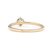 Alice Ring, 0.35ct Queensland Sapphire of your choice
