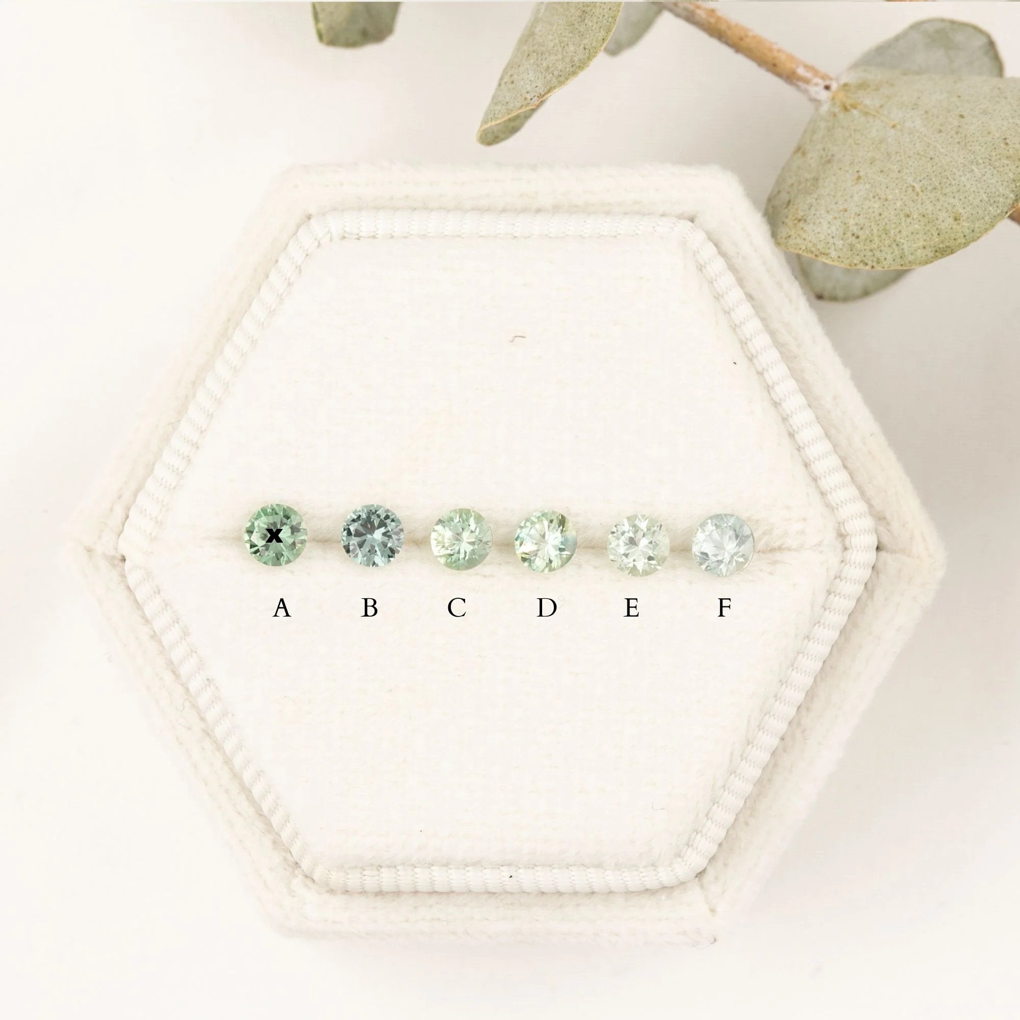 cs136ms-r-3.5-bg-green_1.jpg