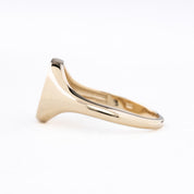 Crescent Moon Birthstone Star Signet Ring