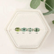 Four green gemstones labeled A, B, C, and D on a hexagonal white stone with a plant in the background.