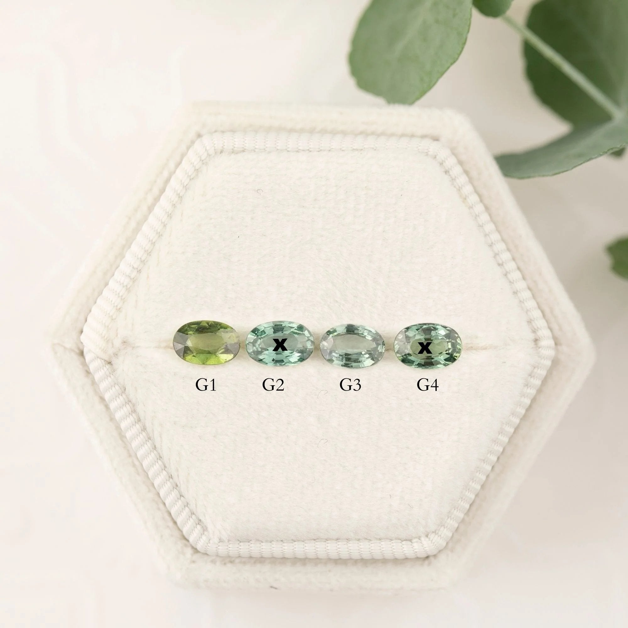 Four green gemstones labeled A, B, C, and D on a hexagonal white stone with a plant in the background.