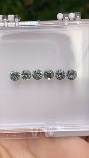 0.60ct Calibrated Round Queensland Sapphires (5.0mm) CS091