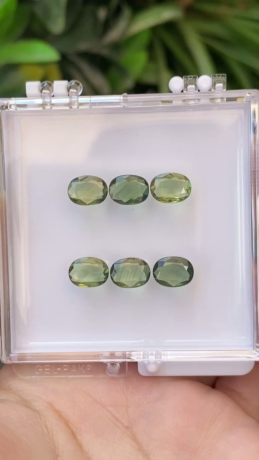 1.00ct Calibrated Oval Green Sapphire (8x6mm) CS349