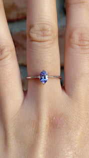 Alice Ring, 0.60ct Light Blue Sapphire