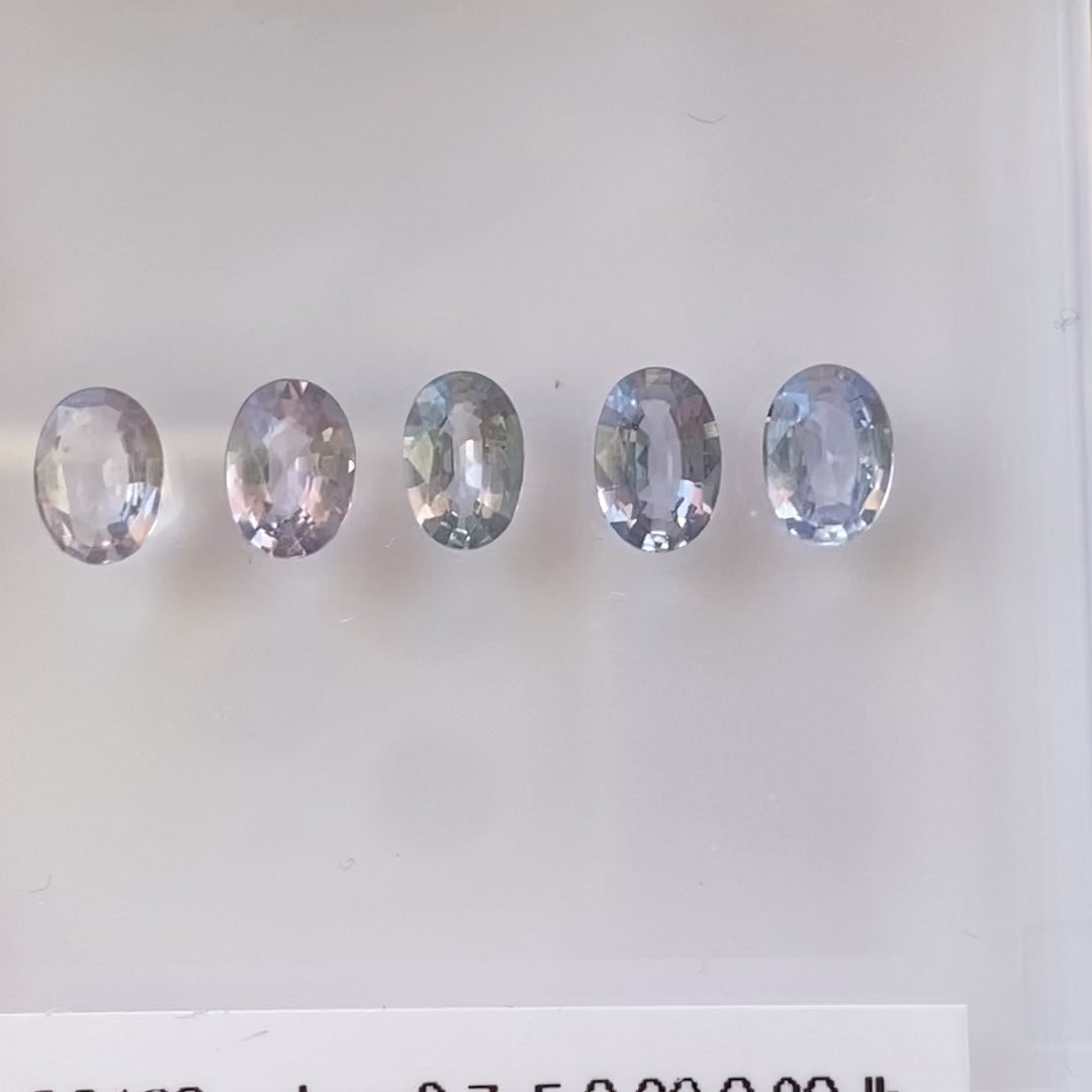 5b7302c7323b4a8a8d32cadc195cb953.thumbnail.0000000000.jpg