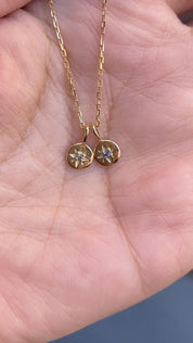 Sirius Montana Sapphire Charm