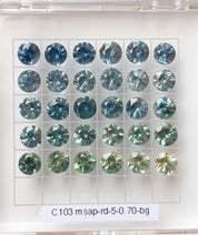 Estel Ring, 0.70ct Montana Sapphire