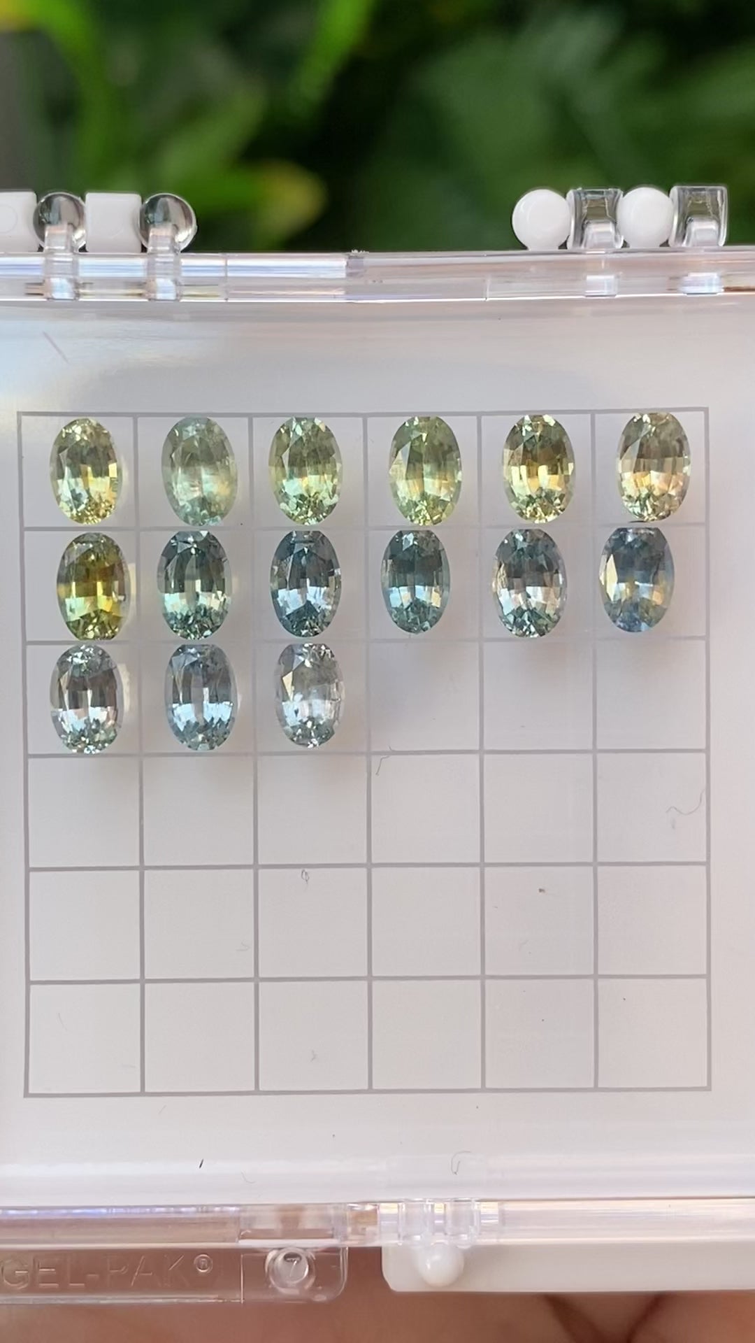 0.50ct Calibrated Oval Montana Sapphires (6.0mm) CS302
