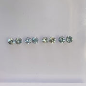 Moon & Star Stud Earrings - Montana Sapphire