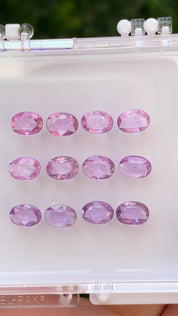 Dahlia Pink Unheated Sapphire Bracelet