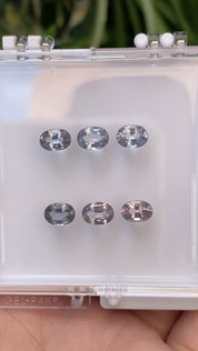 0.90ct Calibrated Oval Sapphires (7.0mm) cs199-2