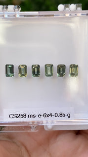 0.85ct Calibrated Emerald Montana Sapphires (6x4mm) CS258
