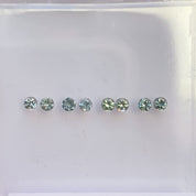 Dahlia Stud Earrings - Montana Sapphire