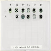 0.30ct Calibrated Oval Unheated Sapphires (4.5mm)