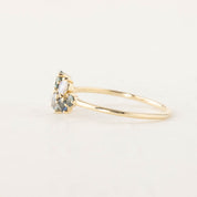Stardust Cluster Ring, Seven Stones (Pick your own gems)