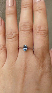 Nina Ring, Montana Sapphire