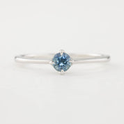 Alice Ring, 0.30ct Montana Sapphire