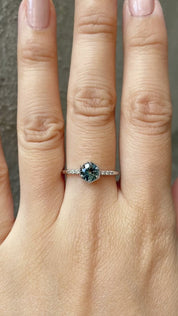 Grace Ring, 0.77ct Parti Blue Green Queensland Sapphire